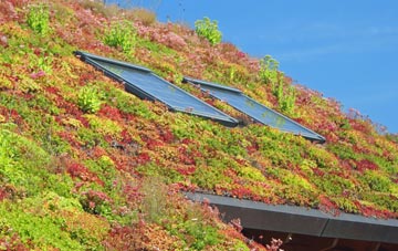 Dunham On The Hill living roof systems