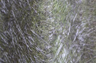 Dunham On The Hill fibreglass roof work